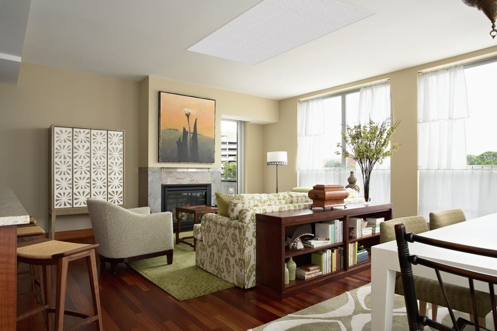 Small Apartment Design open plan floor kitchen dining and living room with laminate wood floor